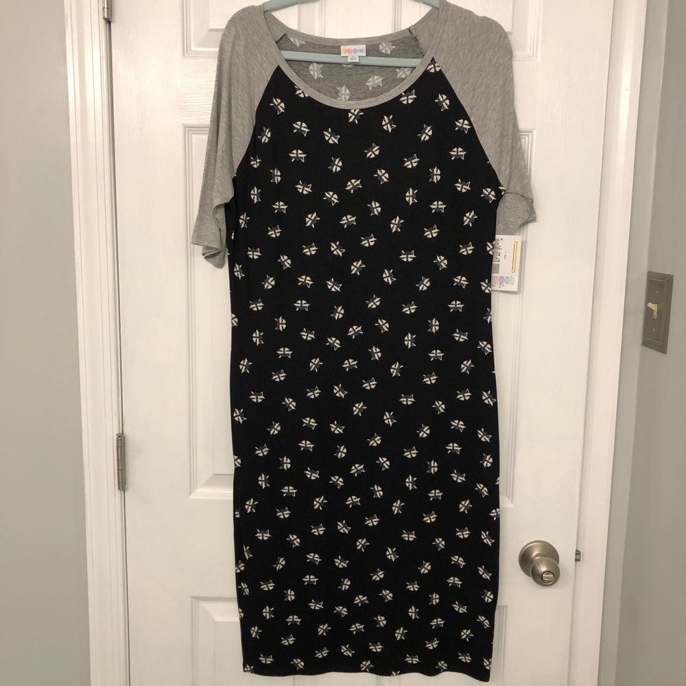NWT Lularoe Raccoon Julia T-shirt Dress L